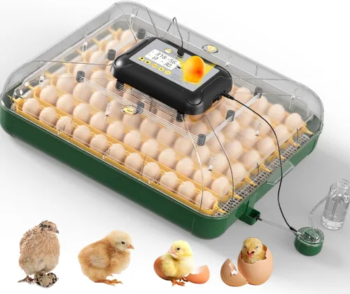 Miniatura 10 de Incubadoras de huevos para incubar pollitos, incubadora de huevos con giro automático de huevos y control de humedad, vela de huevo incorporada