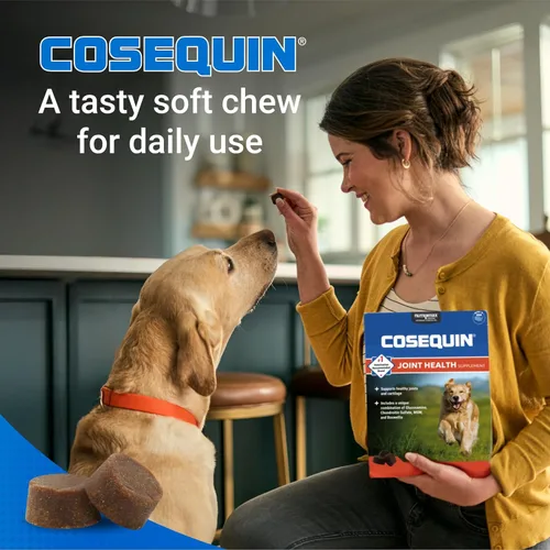 Miniatura 4 de Nutramax Laboratories Cosequin DS Plus MSM Professional Line para perros, 60 masticables suaves