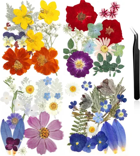 Miniatura 18 de Nuanchu Flores secas prensadas negras para manualidades, flores secas góticas, flores silvestres prensadas naturales a granel con pinzas para molde