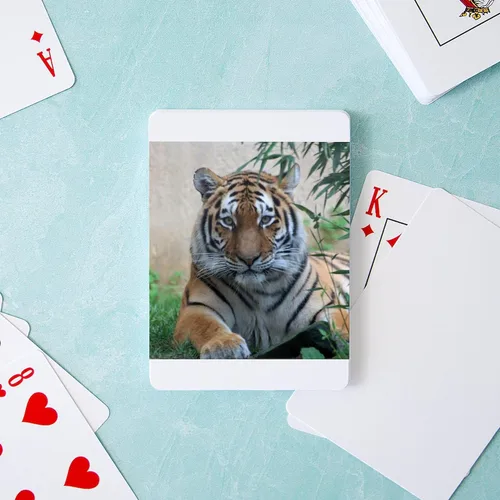 Miniatura 3 de CafePress Tiger20180701ByJamfoto Standard Size Playing Cards