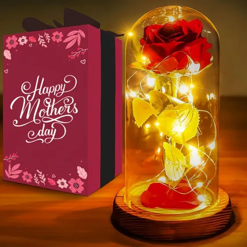 Norcalway Rosa prémium en cúpula de cristal con temporizador de 6 horas, regalos de cumpleaños para mujeres, madres de hija, hijo, niños, rosa de la