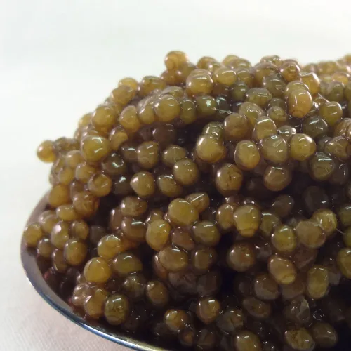Miniatura 2 de Caviar Kaluga, tarro de 1 onza