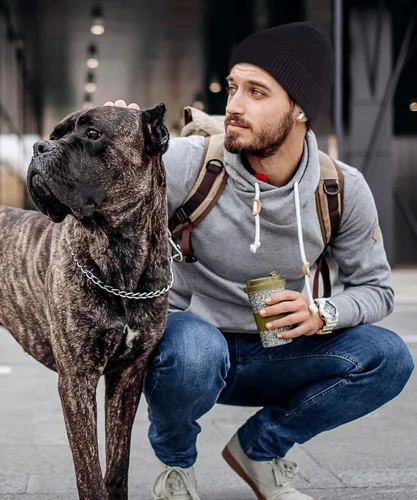 Miniatura 6 de Gorro 100% algodón para hombre, moderno y elegante, cálido y cómodo para el uso diario