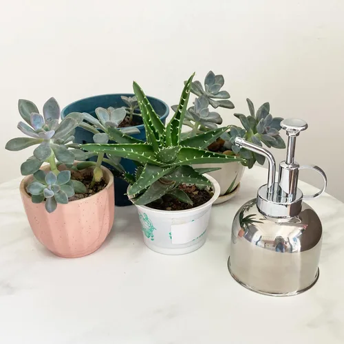 Miniatura 4 de Pulverizador de plantas de acero inoxidable, regadera pequeña para plantas en macetas de interior 10 oz/plata brillante