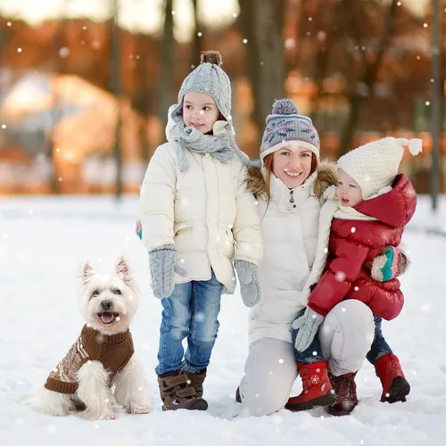 Miniatura 7 de Mihachi Suéteres para Perros Pequeños y Medianos Niña o Niño, Camisa Cálida y Suave para Perros, Abrigo para Perros para Clima Frío con Cuello