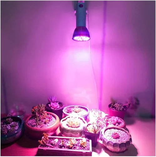 FastUU Lámpara de cultivo, desde la siembra hasta la cosecha de la planta crece la luz, para invernadero hidropónico para caja de cultivo pequeña