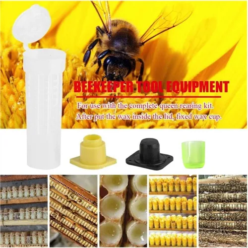 MIZORLIE Kit de copa de crianza de apicultura, jaula de rodillo de abeja reina, equipo de apicultura, herramientas de insectos (20 unidades)