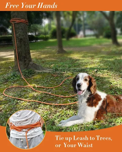 Miniatura 6 de Correa larga para entrenamiento de perros de 10 pies, 16 pies, 30 pies, 50 pies, 100 pies, cuerda de hilos reflectantes, correa resistente