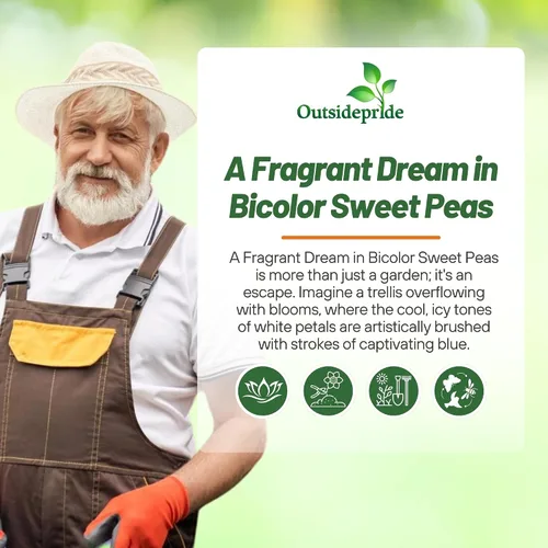 Miniatura 8 de Outsidepride Semillas de guisantes dulces bicolor Blue Ripple – 100 piezas anuales, fáciles de cultivar, semillas de vid para plantar flores