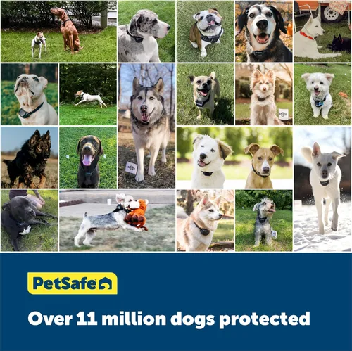 Miniatura 7 de PetSafe - Juego de cerca de instalación en el suelo Stubborn Dog Ultimate con 500 pies de alambre de calibre 16.