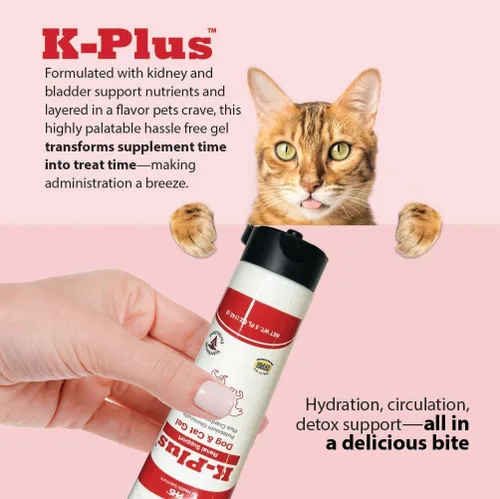 Miniatura 7 de K-Plus - Gel renal de gluconato de potasio más arándano y EPA para perros y gatos, suplemento renal aprobado por veterinarios, apoya el equilibrio