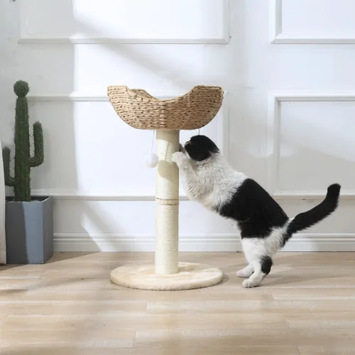 Miniatura 3 de SHENGOCASE Torre pequeña para gatos con cesta grande de mimbre de ratán de 17.7", cesta nido tejida a mano, percha de ventana para gatos grandes