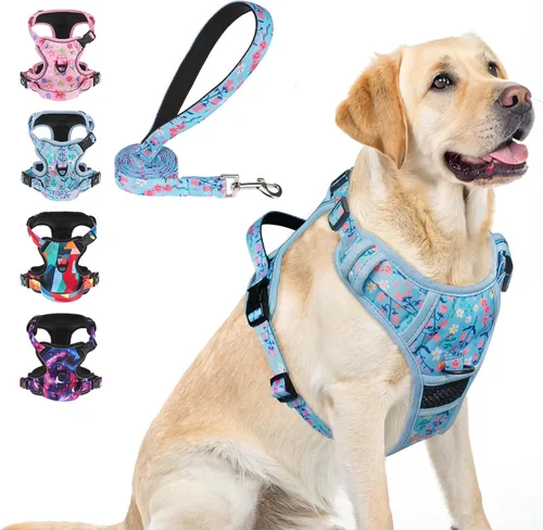 Miniatura 21 de BEAUTYZOO Arnés para perro sin tirones pequeño, juego de arnés y correa ajustable para perro - Fácil de usar con 3 hebillas/mango de control, arnés