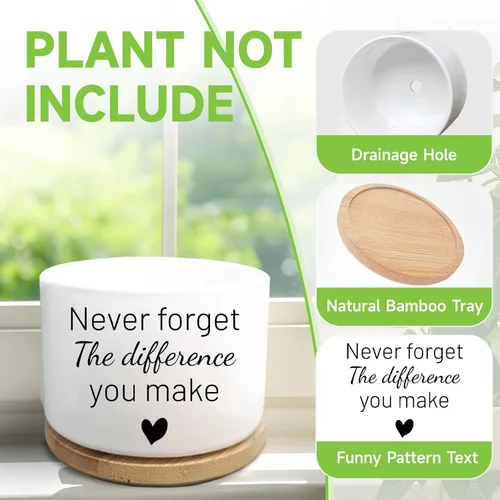 Miniatura 4 de Regalos inspiradores para mujeres, bonita maceta para suculentas, maceta de cactus para amantes de las plantas, regalo motivacional de animación
