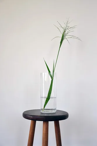 Miniatura 5 de WGV - Jarrón cilíndrico a granel, diámetro de 5 pulgadas, altura de 10 pulgadas, contenedor floral de vidrio transparente, portavelas flotante