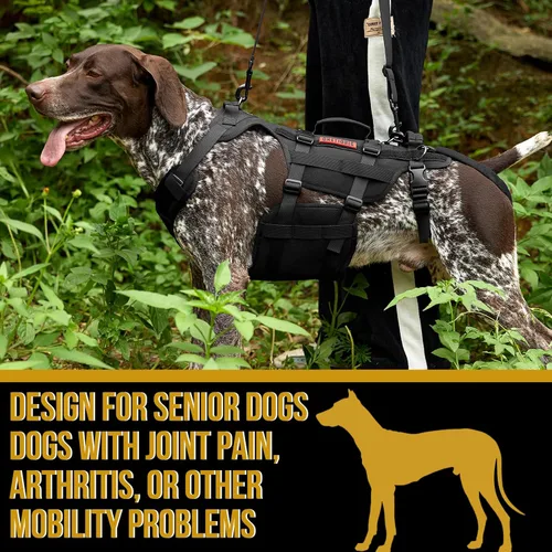 Miniatura 5 de OneTigris Arnés de elevación para perros grandes, soporte de cadera para perros, elevador de cuerpo completo con asas Invictus Chaleco Negro