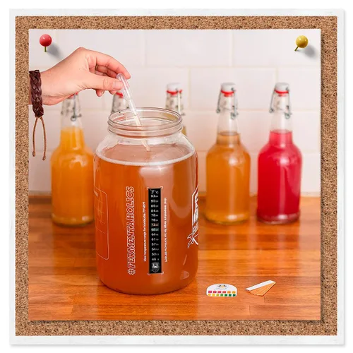 Miniatura 4 de Paquete de 3 termómetros adhesivos de fermentación, muestra la temperatura en grados Celsius y Fahrenheit, ideal para kombucha, cerveza, vino
