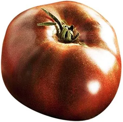 Black Brandywine Semillas de tomate reliquia, tomate grande, uno de los tomates más deliciosos para el cultivo en casa,