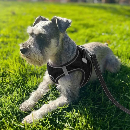 Miniatura 2 de Joytale arnés para perro, 12 colores, chaleco de malla transpirable, arnés acolchado suave reflectante para perros medianos, negro, XL.