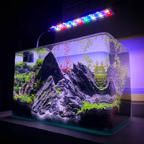 Miniatura 6 de Piedra natural Seiryu de 2 a 6 pulgadas, 4 piezas de rocas de acuario para paisajismo acuático, paisajismo de acuarios, terrarios, decoración