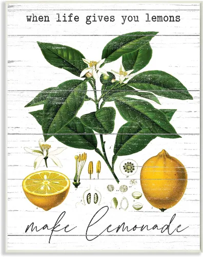 Stupell Industries Life Gives Lemons Quote Country Fruit Anatomy, placa de pared con letras y forradas, 10 x 15 pulgadas, color blanco hueso