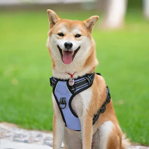 Miniatura 3 de PoyPet Arnés sin tirones para perro, arnés de chaleco cómodo reflectante con parte delantera y trasera, 2 accesorios para correa y asa de fácil