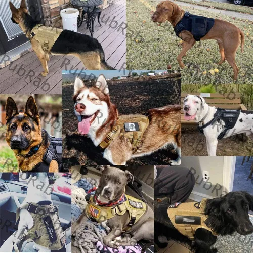 Miniatura 5 de Arnés táctico para perro con asa, chaleco Molle de entrenamiento militar con hebillas de metal y paneles de bucle, correa elástica para perro