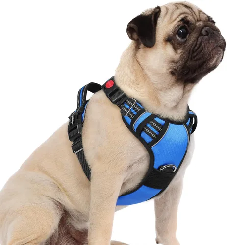 Miniatura 34 de rabbitgoo Arnés para perro de tamaño pequeño, chaleco para perro sin tirones con 3 hebillas, arnés ajustable y acolchado suave para mascotas con asa
