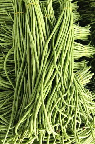 Miniatura 2 de 30 semillas de frijol largo verde/rojo para patio, fideos asiáticos, espárragos, semillas de frijol sin OMG