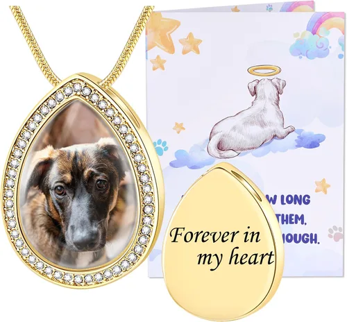 Miniatura 34 de Fanery Sue Collar personalizado para cenizas de mascotas para perros y gatos, foto y texto personalizados, regalo de condolencia, regalo de cremación