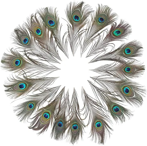 Miniatura 9 de Ballinger 6 PCS Plumas de Ojo de Pavo Real Naturales Grandes de 10-12 pulgadas para Manualidades DIY, Decoraciones de Boda y Festivas