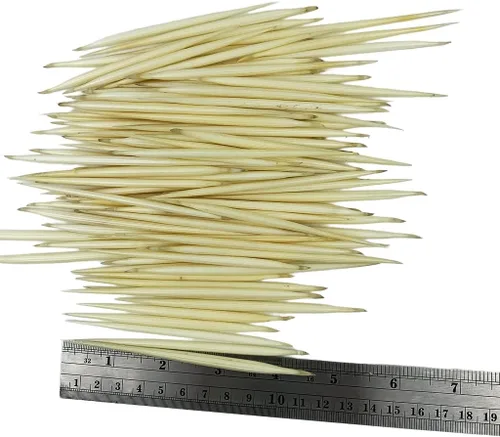 Miniatura 3 de Heyiwell 10 plumas de puercoespín blanco real de aproximadamente 4 pulgadas de largo