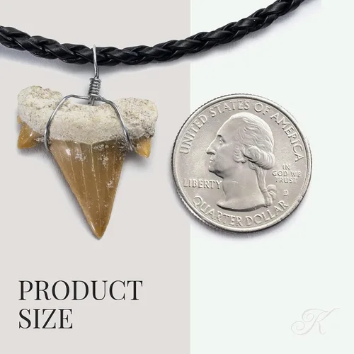 Miniatura 5 de KALIFANO Collar de dientes de tiburón fosilizado, auténtico colgante prehistórico de dientes de tiburón en cordón de cuero trenzado de 18 pulgadas