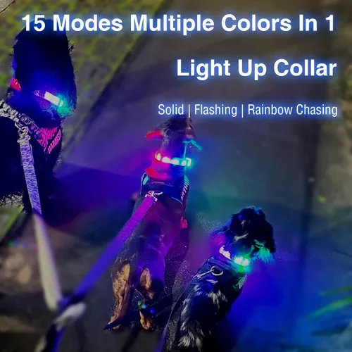 Miniatura 2 de Collar de perro recargable USB-C, collar de luz multicolor súper brillante, resistente a la intemperie, luz de seguridad para caminar por la noche