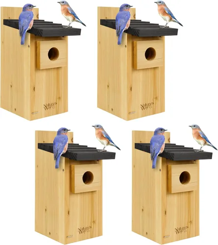 Miniatura 9 de Wild Wings WWCH3 Cedro Blue Bird Box House