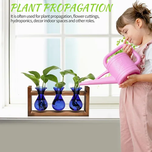 Miniatura 4 de Estación de Propagación de Plantas Terrario de Plantas Regalos Únicos de Cumpleaños para Mujeres Decoración para Hogar y Oficina Maceta con Soporte