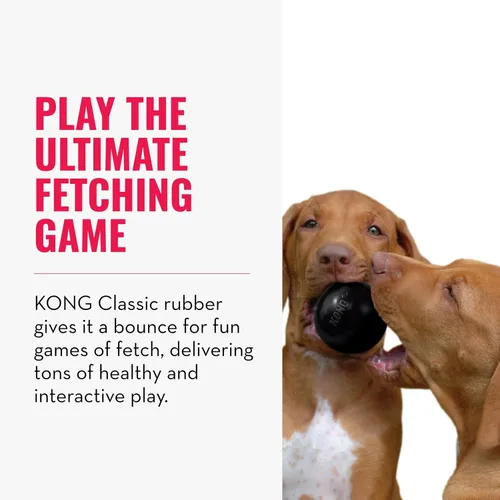 Miniatura 2 de KONG Bola extrema con agujero – Juguete de búsqueda – Juguete duradero para perros para entrenamiento, tiempo de juego interactivo y más – Pelota
