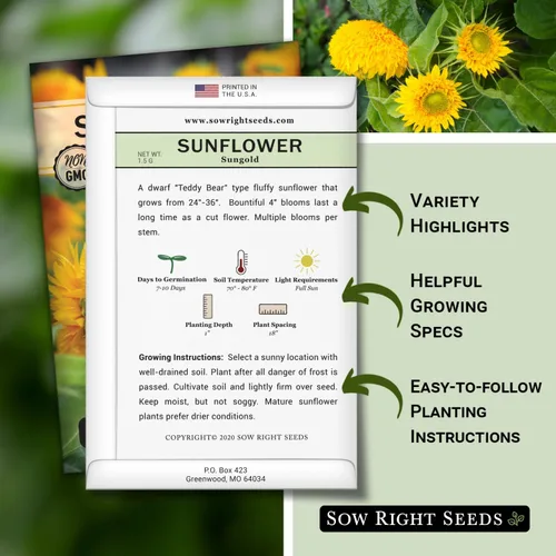 Miniatura 2 de Sow Right Seeds - Semillas de girasol enano Sungold para plantar - Paquete de reliquia sin OMG con instrucciones para cultivar - Variedad corta