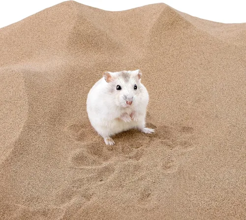 Miniatura 5 de Niteangel Arena de Baño del Desierto para Hámster Arena de Baño sin Polvo o Arena para Arenero para Hámster, Chinchillas, Jerbo, Ratón, Degu u