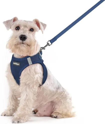 Miniatura 151 de rabbitgoo Juego de arnés para perro de tamaño pequeño y correa, chaleco ligero suave para cachorro, arnés de malla transpirable para mascotas