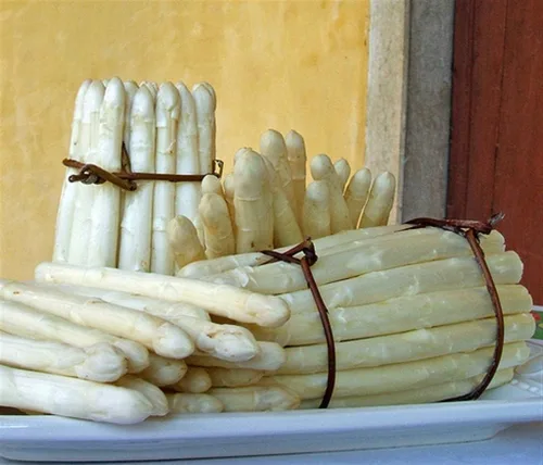 Miniatura 4 de Semillas Espárragos Blancos No OGM Heirloom