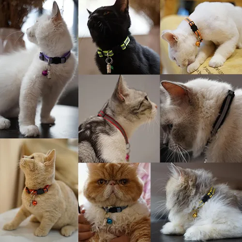 Miniatura 8 de Extodry Juego de 14 collares para gatitos, desmontables con campanas, collar de gato reflectante y seguro, ideal para cachorros, gatos niña y niño