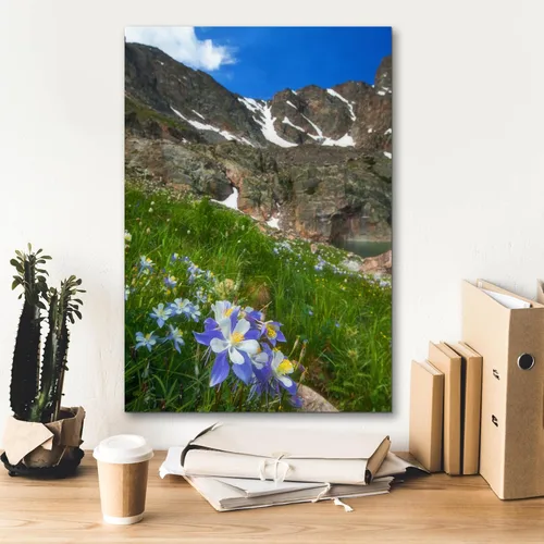 Miniatura 5 de Epic Graffiti 'Alpine Columbine - Parque Nacional de las Montañas Rocosas' por Darren White, arte de pared giclée, 18 x 26 pulgadas