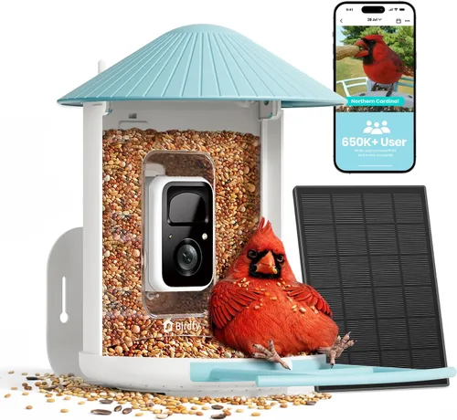 NETVUE por Birdfy Alimentador Inteligente para Pájaros con Cámara AI Alimentado por Energía Solar, Observación de Aves Silvestres Inalámbrica de Azul
