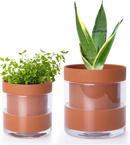 Miniatura 22 de Maceta Phoenix Vine de 6 Pulgadas con Riego Automático, Maceta de Arcilla Terracota con Reservario de Vidrio para Plantas de Interior, Hierbas