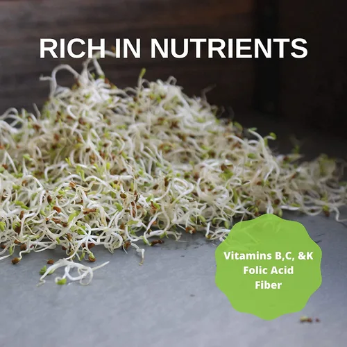 Miniatura 7 de Semilla de brote de alfalfa orgánico certificado – marca Handy Pantry – semillas de alta germinación comestibles - jardinería, cultivos
