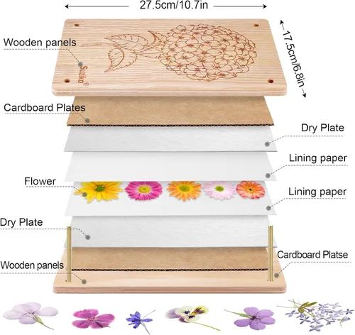 Miniatura 3 de Suziko Kit de prensa de flores grande para adultos y niños, 10.8 x 6.9 pulgadas, kit de preservación de plantas de flores, arte y manualidades