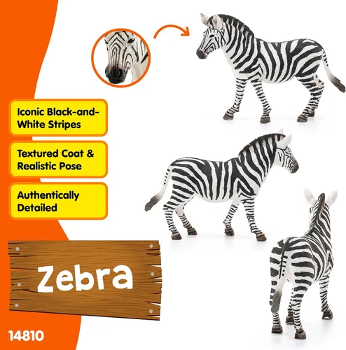 Miniatura 2 de Schleich Wild Life - Figura de cebra femenina realista – Juguete auténtico y altamente detallado de animales salvajes, duradero para la educación