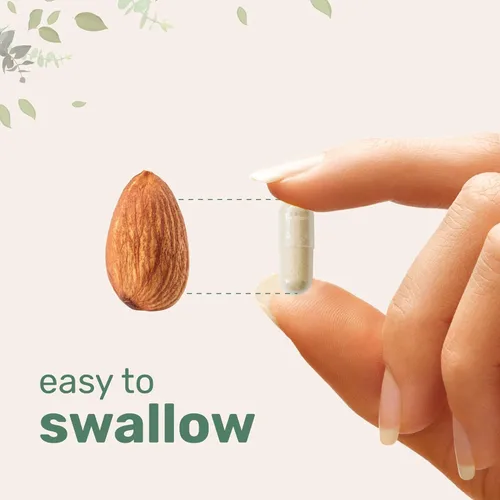 Miniatura 5 de Micro Ingredients Extracto de hongo melena de león con L-ergotioneína, 240 cápsulas vegetales, suministro para 4 meses Sin OMG