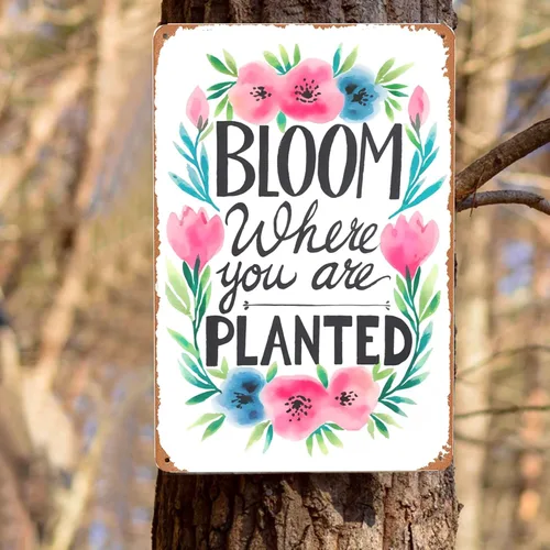 Miniatura 8 de Letrero de metal de inspiración de jardín, 8 x 12 pulgadas, "Bloom Where Planted", decoración rústica de pared para invernadero, porche y estética